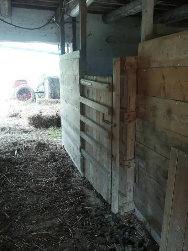 Immagine per Terreno in vendita a Mondavio via Cannella