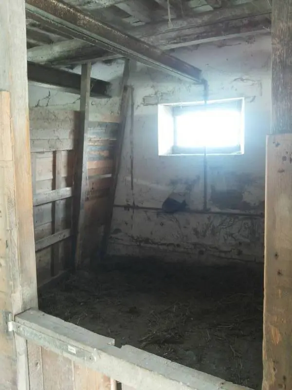 Immagine per Terreno in vendita a Mondavio via Cannella