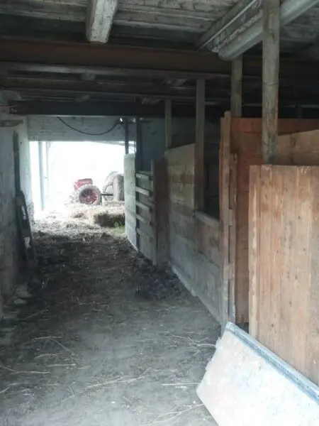 Terreno via Cannella, Mondavio