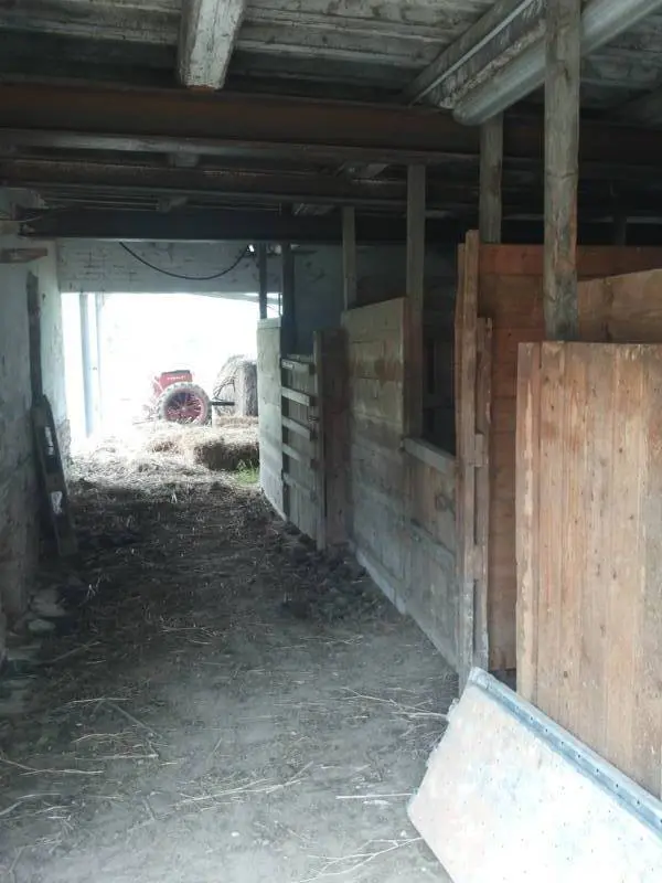 Immagine per Terreno in vendita a Mondavio via Cannella