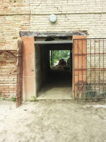 Terreno via Cannella, Mondavio