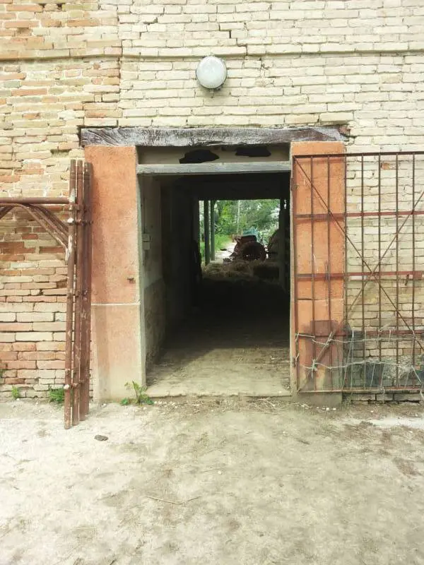 Immagine per Terreno in vendita a Mondavio via Cannella