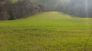 Terreno via Cannella, Mondavio