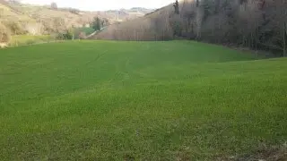 Terreno via Cannella, Mondavio