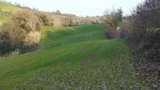 Terreno via Cannella, Mondavio