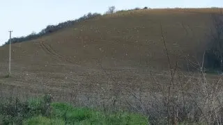 Terreno via Cannella, Mondavio