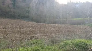 Terreno via Cannella, Mondavio