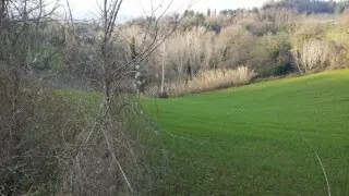 Terreno via Cannella, Mondavio