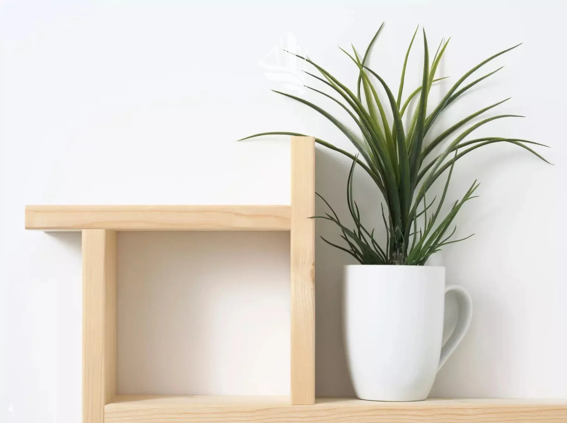 Immagine per Appartamento in vendita a Laives