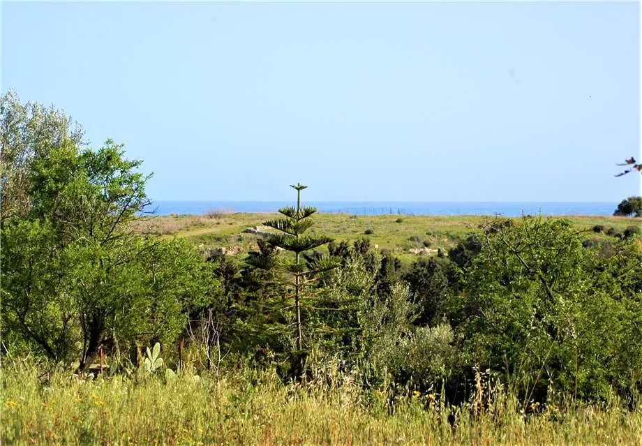 Immagine per Villa in vendita a Noto