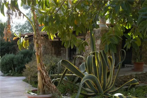 Villa Noto