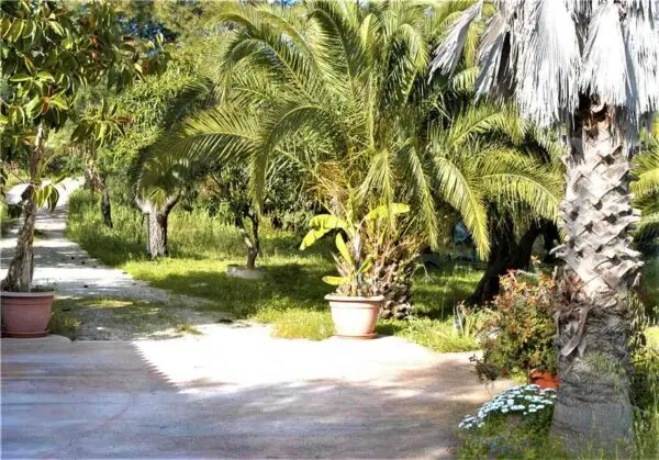 Villa Noto