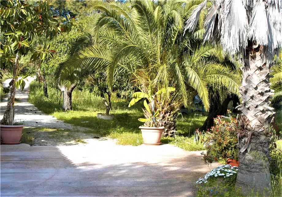 Immagine per Villa in vendita a Noto