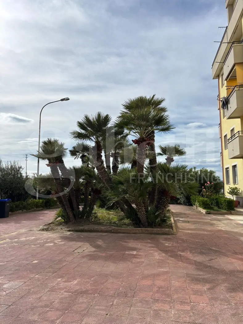 Immagine per Appartamento in vendita a Margherita di Savoia via Pecorari 7