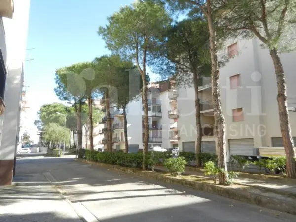 Immagine per Appartamento in vendita a Scalea via Fiume Lao 411
