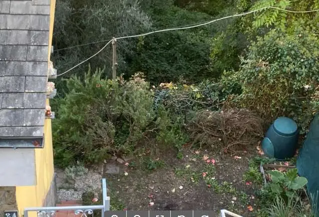 Immagine per Casa indipendente in asta a Montalto Carpasio