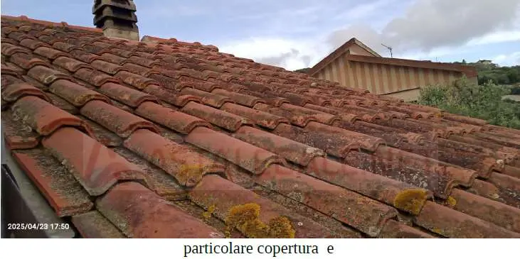Immagine per Appartamento in asta a Diano San Pietro via Isabella Lantero 8
