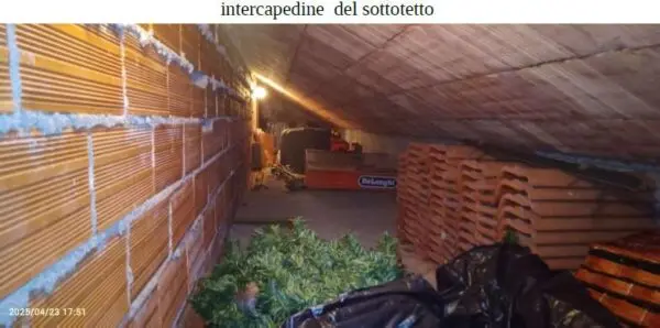Appartamento via Isabella Lantero 8, Diano San Pietro