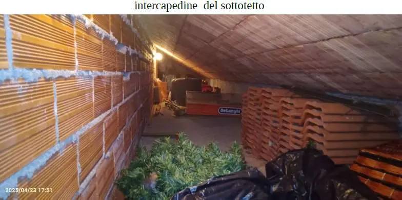 Immagine per Appartamento in asta a Diano San Pietro via Isabella Lantero 8