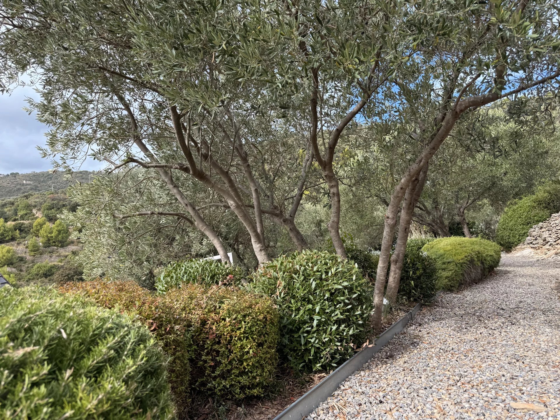 Immagine per Villa in vendita a Alassio strada Privata Generale Cimmaruta