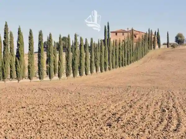 Villa Affi