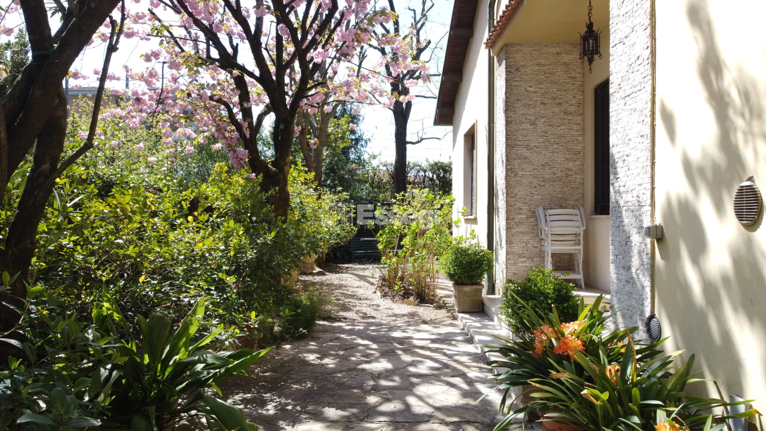 Immagine per Villa in vendita a Lucca viale Pacini 115