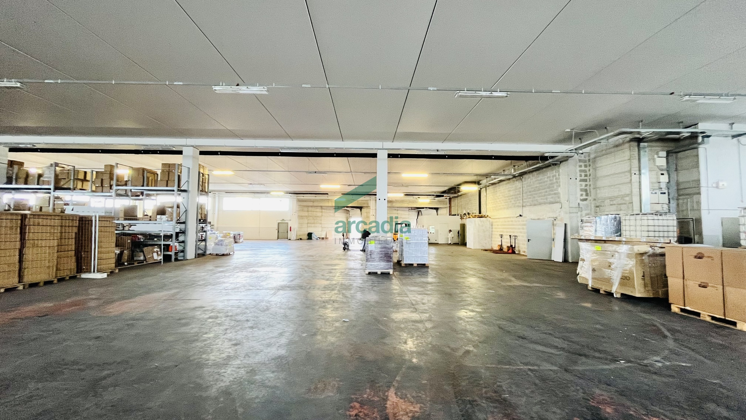 Immagine per Industriale in vendita a Bitritto via Contrada Parco Vecchio 11
