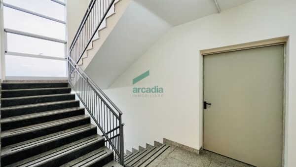 Immagine per Industriale in vendita a Bitritto via Contrada Parco Vecchio 11