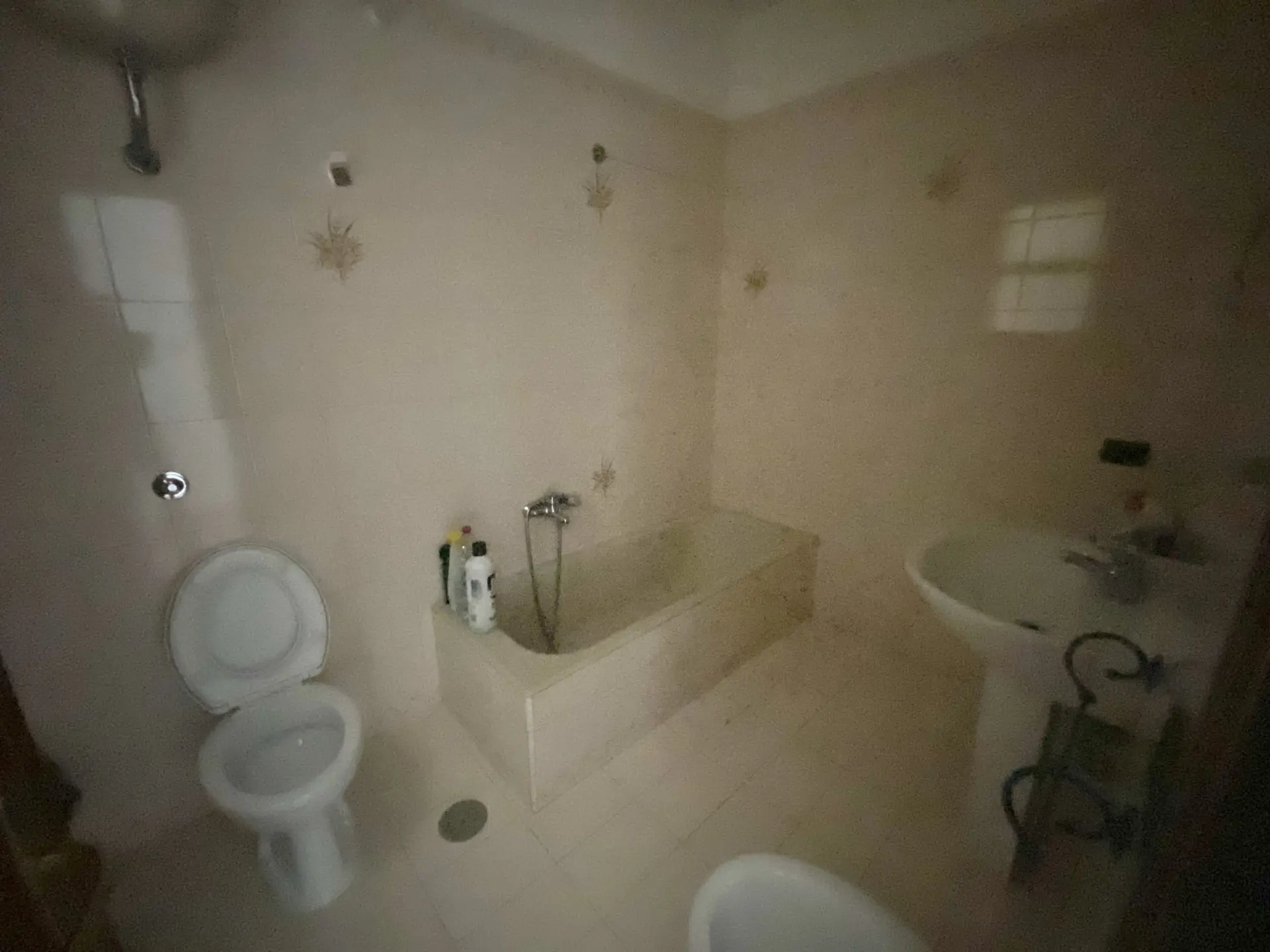 Immagine per Trilocale in vendita a Adelfia via Dei Mille 35
