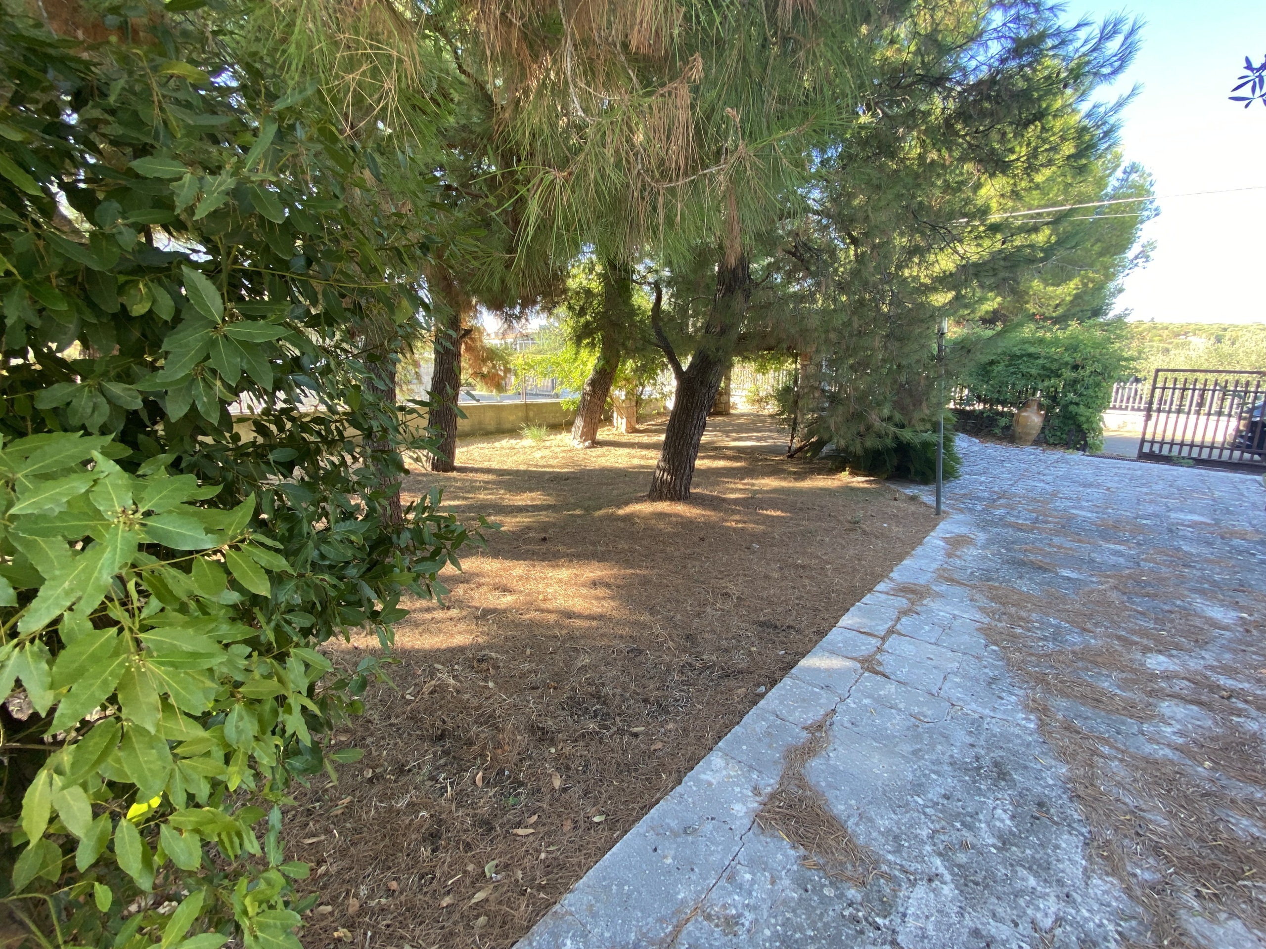 Immagine per Monolocale in vendita a Castellana Grotte via Contrada Scamardella 51
