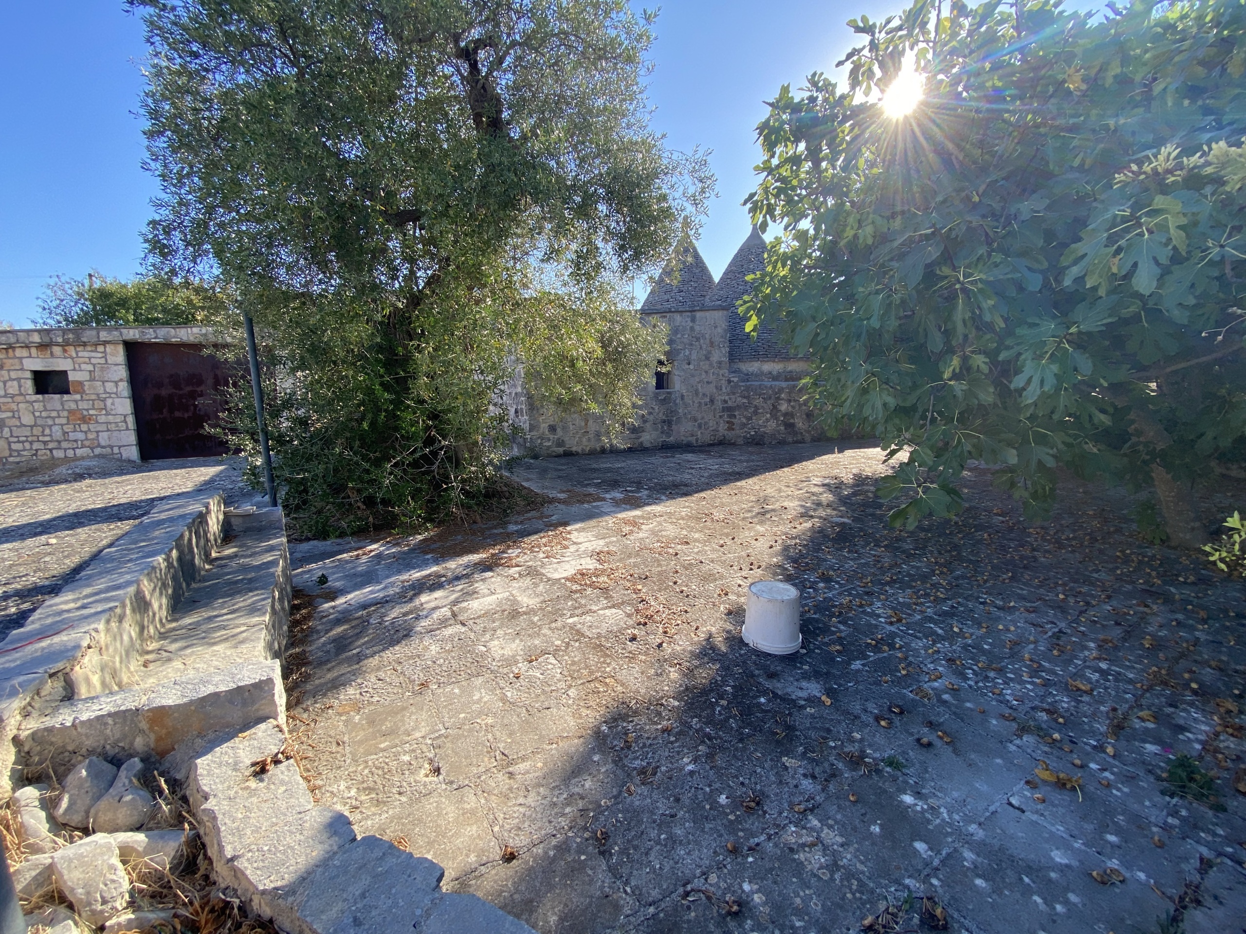 Immagine per Monolocale in vendita a Castellana Grotte via Contrada Scamardella 51