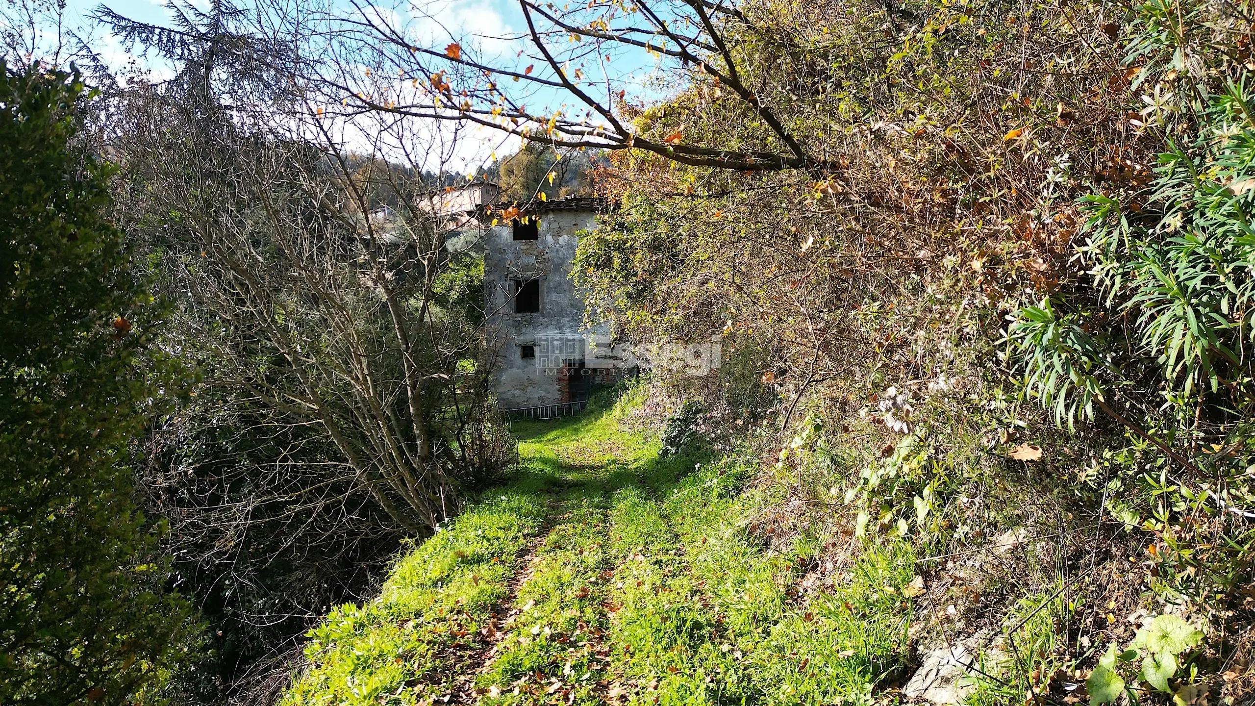 Immagine per Casale in vendita a Lucca via Del Brennero 1950