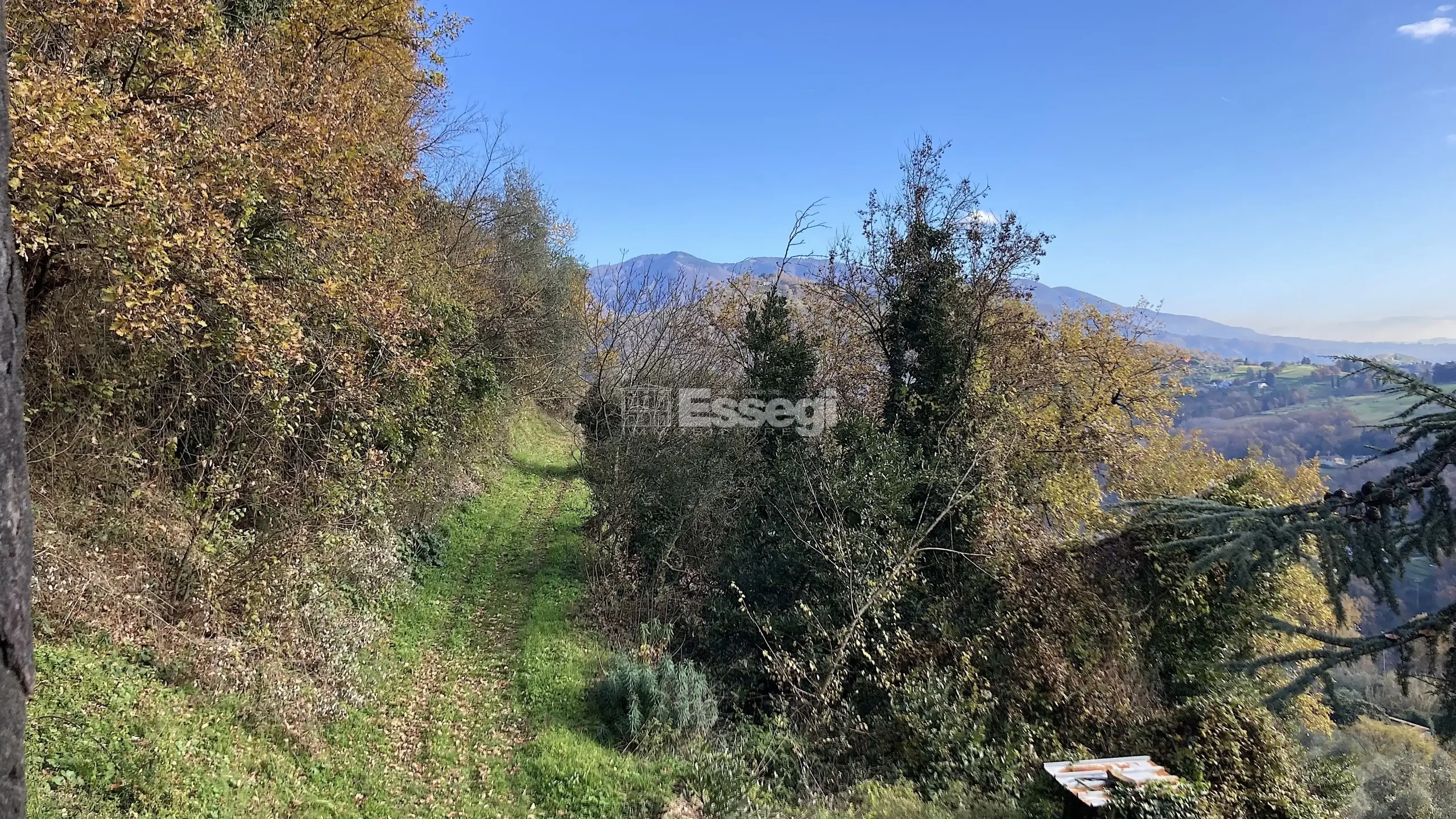 Immagine per Casale in vendita a Lucca via Del Brennero 1950