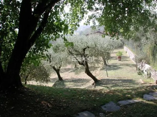 Monolocale 1225, Lucca