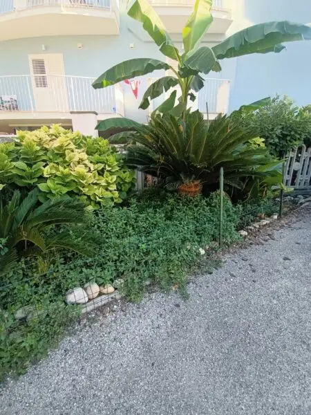 Monolocale via Guido Sgattoni 22, San Benedetto Del Tronto