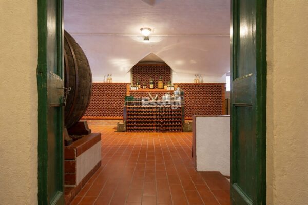 Villa via Di Gugliano 36, Pistoia