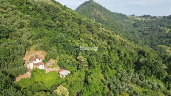 Immagine per Casale in vendita a Borgo a Mozzano via Domazzano 8