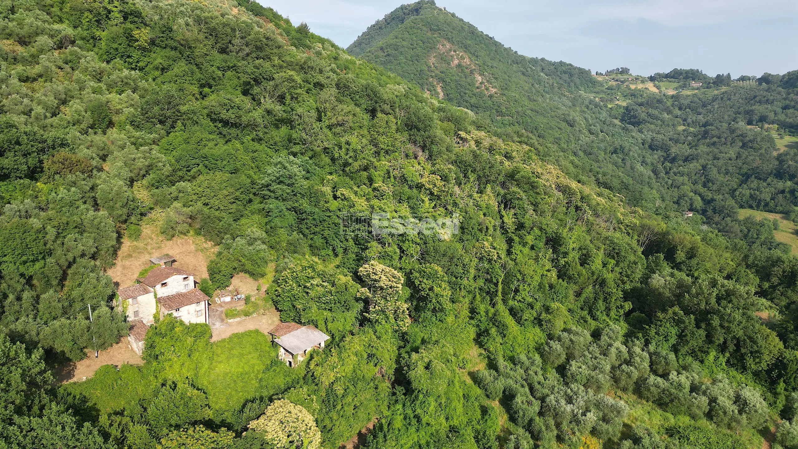 Immagine per Casale in vendita a Borgo a Mozzano via Domazzano 8