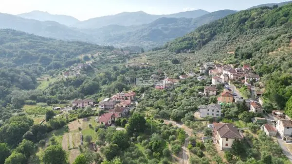Immagine per Casale in vendita a Borgo a Mozzano via Domazzano 8