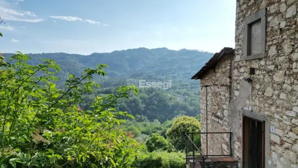 Casale via Domazzano 8, Borgo A Mozzano