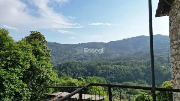 Casale via Domazzano 8, Borgo A Mozzano