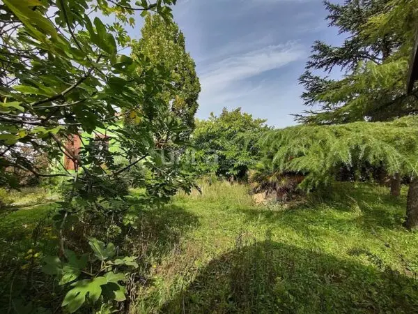 Villa Trifamiliare via Celeste Erard Snc, Maiolati Spontini
