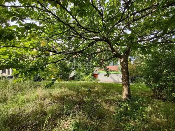 Villa Trifamiliare via Celeste Erard Snc, Maiolati Spontini