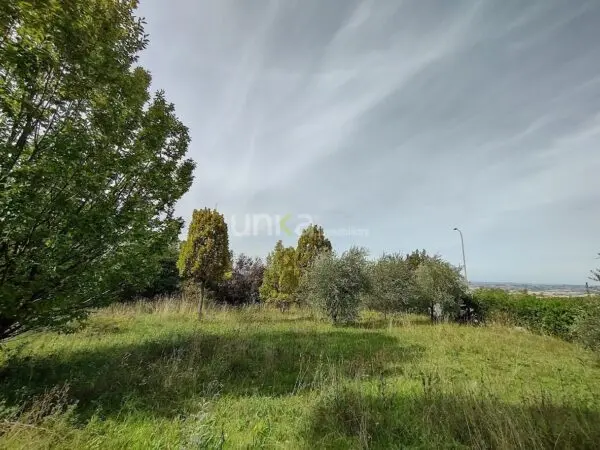 Villa Trifamiliare via Celeste Erard Snc, Maiolati Spontini