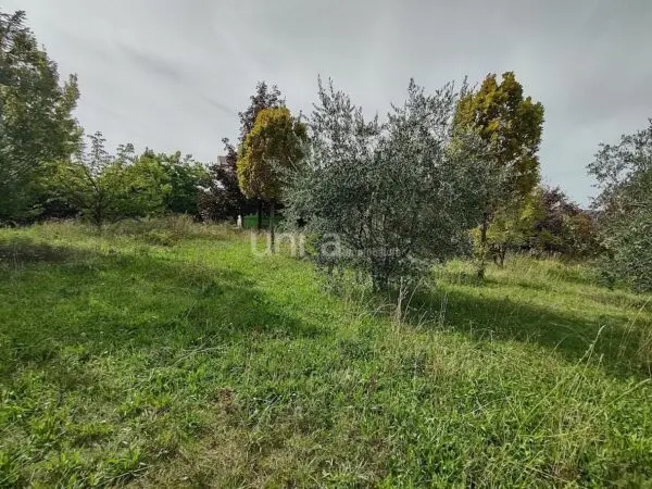 Villa Trifamiliare via Celeste Erard Snc, Maiolati Spontini