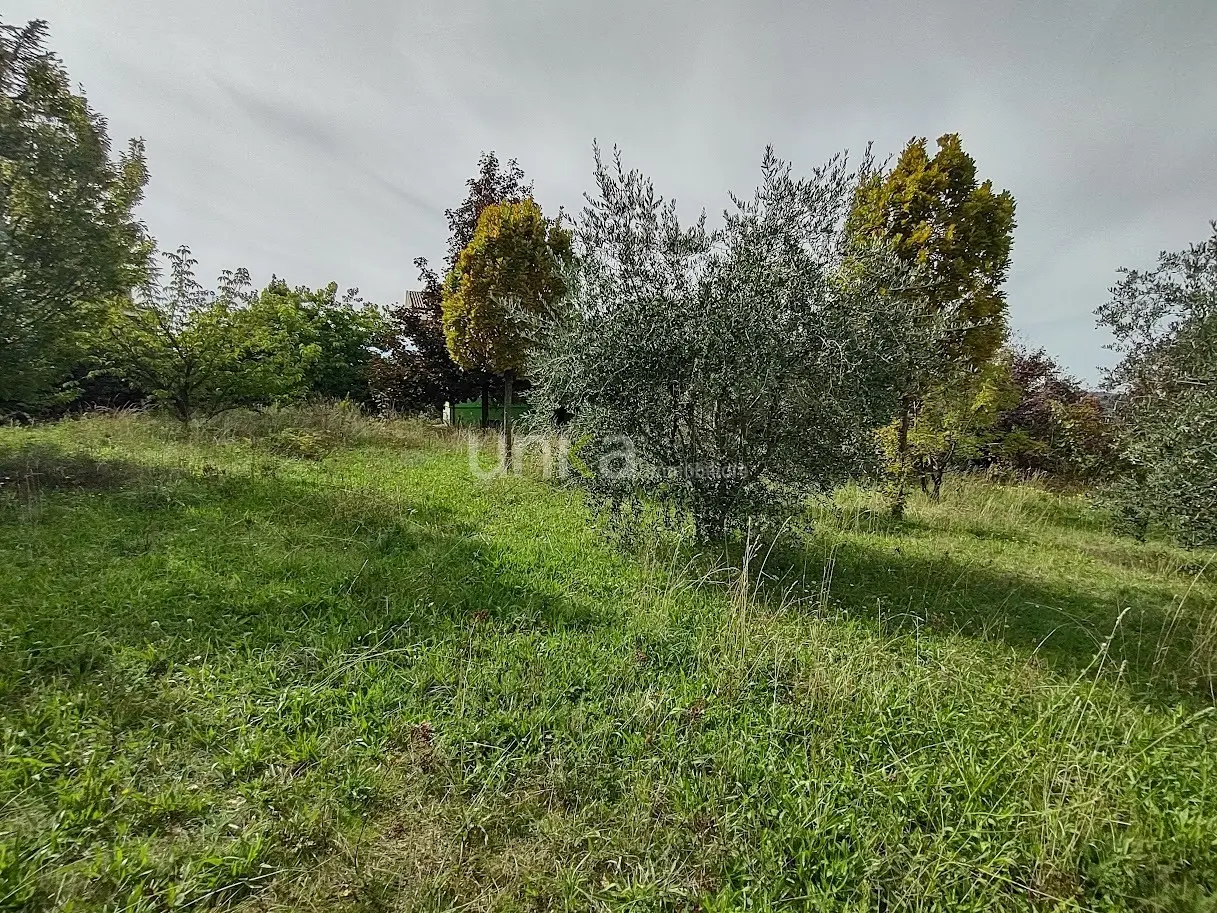 Immagine per Villa trifamiliare in vendita a Maiolati Spontini via Celeste Erard snc