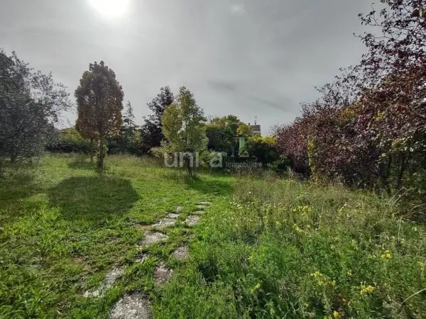 Villa Trifamiliare via Celeste Erard Snc, Maiolati Spontini
