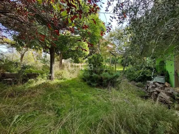 Villa Trifamiliare via Celeste Erard Snc, Maiolati Spontini