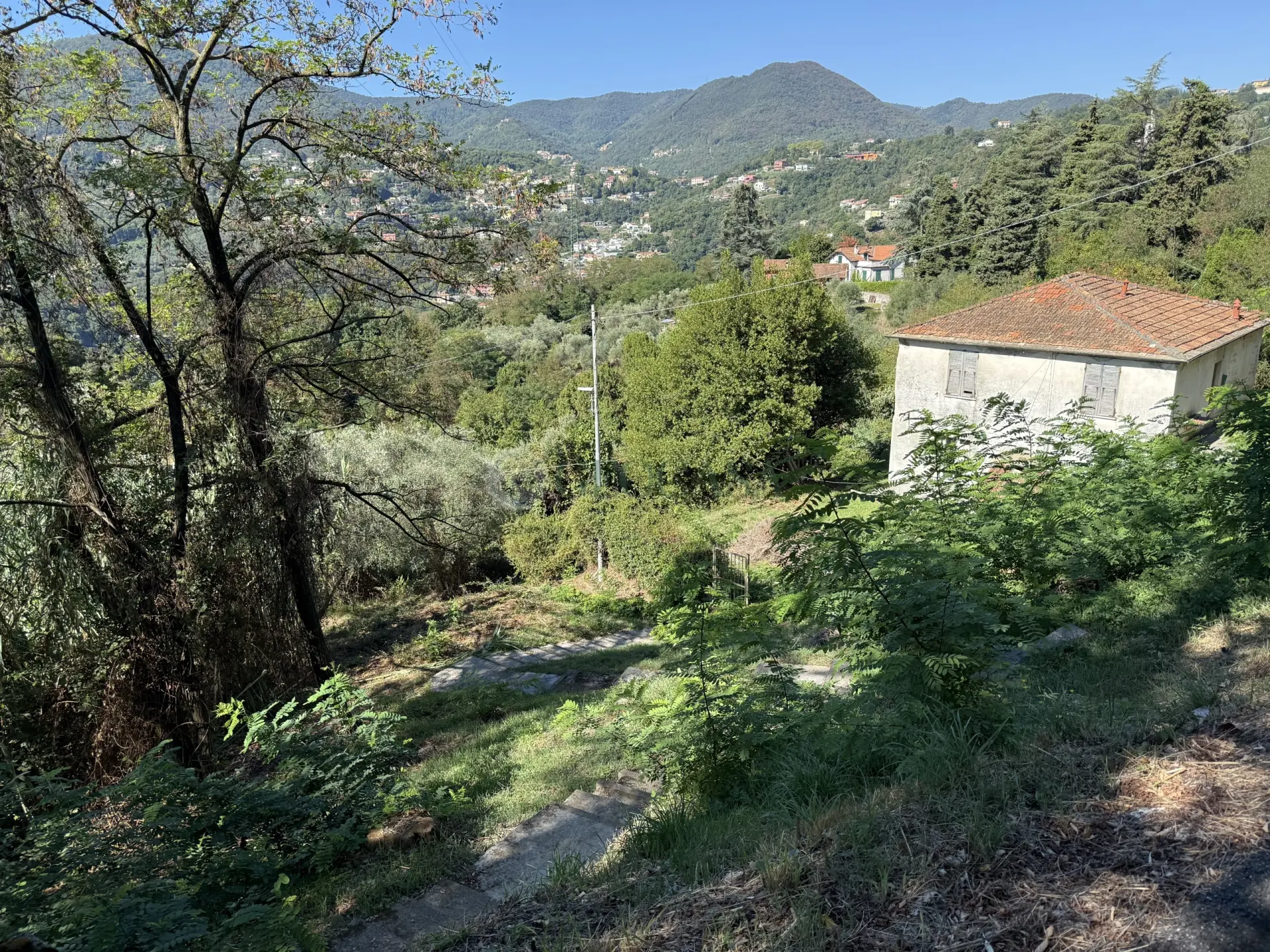 Immagine per Terratetto in affitto a La Spezia via Costa Santa Lucia 8