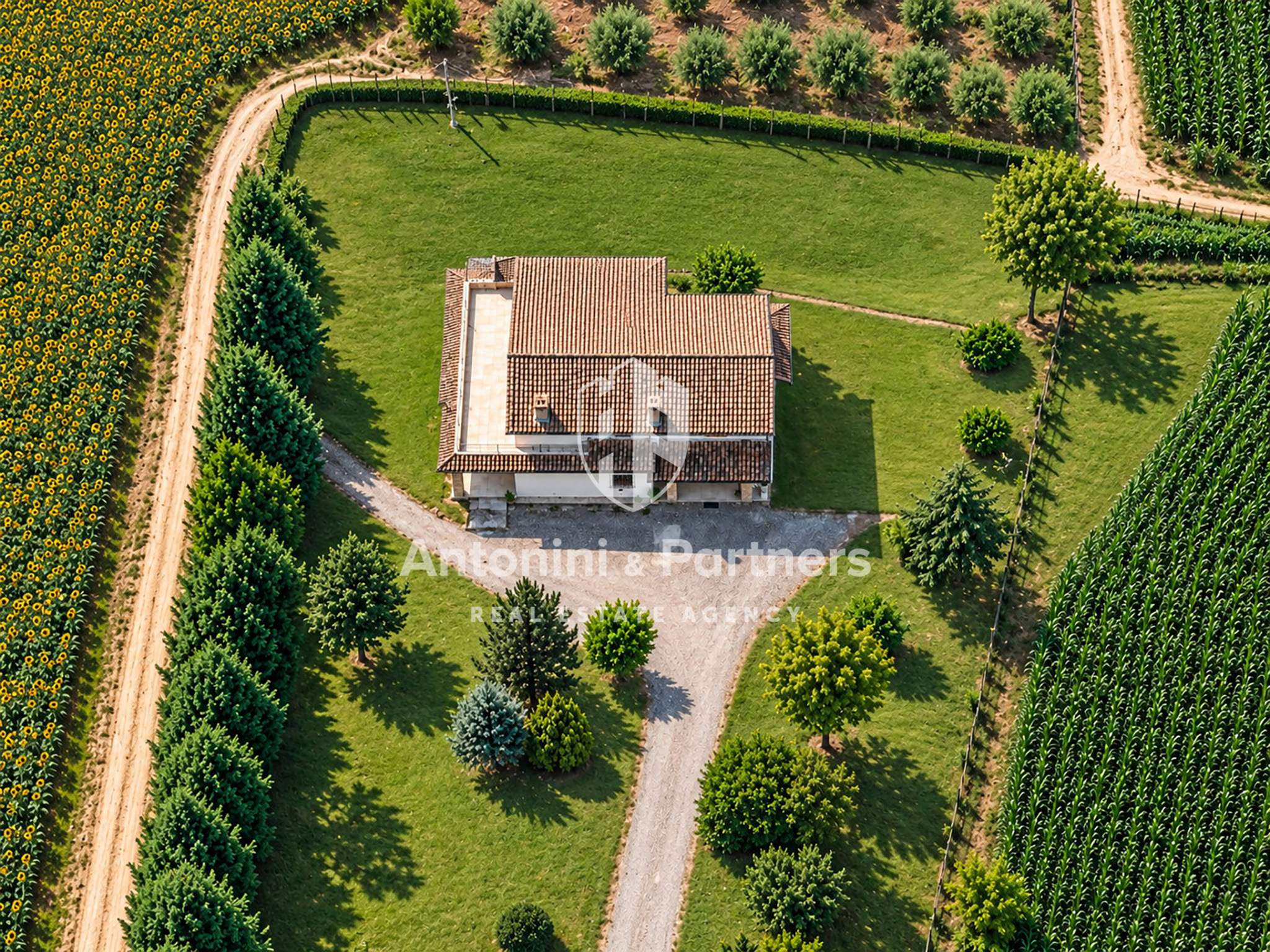 Immagine per Villa in vendita a Todi via Frazione San Damiano